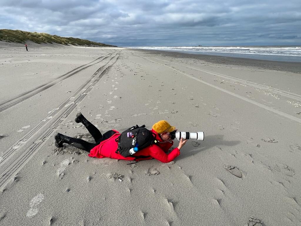 Jolanda Pikkaart liggend op het Amelandse strand om een zeehond te fotograferen